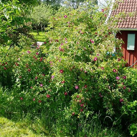 Langesater B&B Lerdala Exterior foto