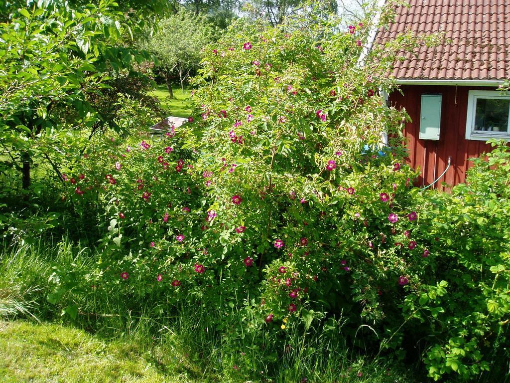 Langesater B&B Lerdala Exterior foto